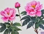 2025年什么花寓意比较好