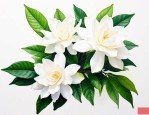 栀子花喝了有什么好处