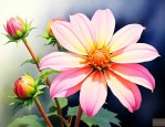 早上开花晚上闭合的花