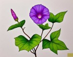 2025年牵牛花三百字作文