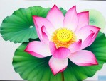 荷花的花瓣长什么样子