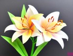 怎么折百合花简单又好看