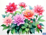 适合家里养的花有哪些