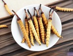 冬虫夏草的效果是什么