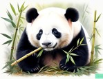 大熊猫是怎么吃竹子的