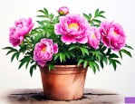 牡丹花盆栽的养殖方法