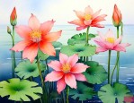 一帆风顺水养花怎么养