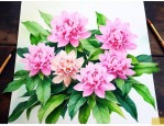 七叶一枝花可以泡茶吗