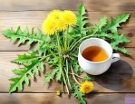 蒲公英茶叶和根哪个好