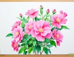 五月份最常见开什么花