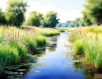 河道里面种植水生植物