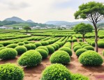 2025年重庆苗木花木基地