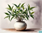 2025年瓷花瓶养什么植物