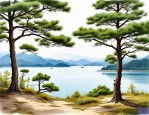 2025年千岛湖有马尾松吗