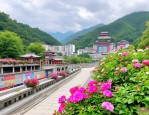 2025年湖北省十堰市送花