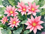 2025年滴水观音开不开花
