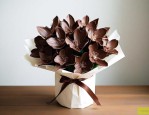 巧克力花适合室内养吗