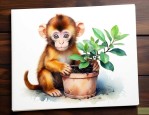 属猴的适合种什么盆栽