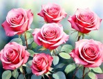 玫瑰花6朵代表什么意思