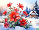 冬季有什么花可以种的