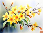 迎春花是什么季节开的花