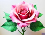 正方形折玫瑰花怎么折