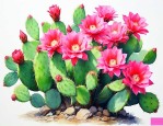 仙人指怎么养才能开花