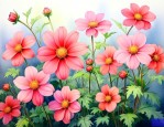 什么花能一年四季开花