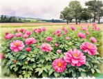 2025年北方容易种植的花