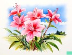 新西兰的国花是什么花