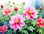 北方好养的花卉有哪些