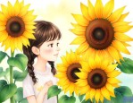 送向日葵代表什么意思
