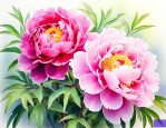 牡丹花是什么季节开的
