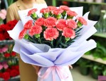 花店一朵康乃馨多少钱