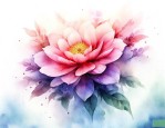 见过花开就好了 何必在意花属于谁什么意思