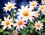 满天星是真花还是假花
