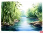 水里竹子怎么养才能更旺盛