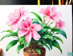 家里的花怎样才能养好