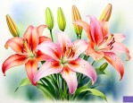心田上的百合花的精神