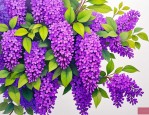2025年紫色的花一串串的