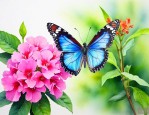 蝴蝶花怎么养怎么浇水