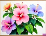 三色芙蓉花的养殖方法