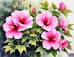 2025年芙蓉花别名叫什么