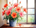 室内适合养什么样的花