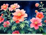 夜间开放的花是什么花