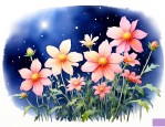 满天星是什么品种的花