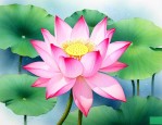 荷花象征的是什么意思