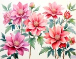 六道木花纹越花越好吗
