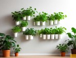 墙壁水培植物室内墙花