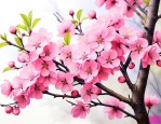 榆叶梅是灌木还是乔木